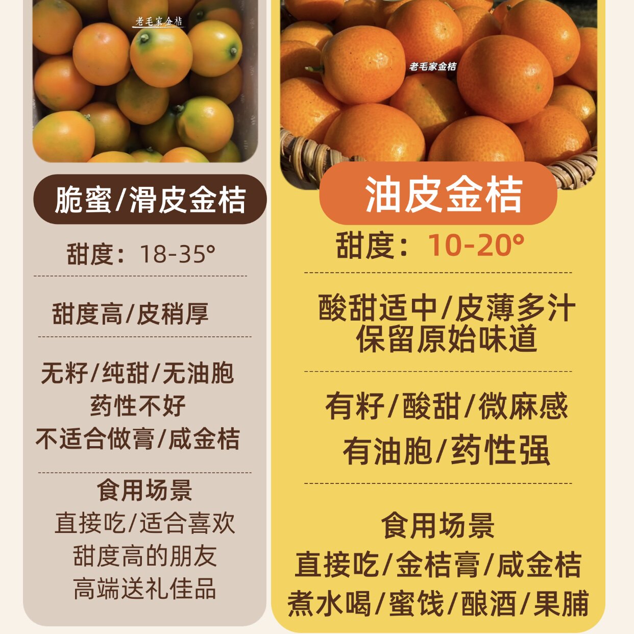 广西桂林阳朔油皮金桔新鲜金桔水果老品种酸甜大果特产顺丰包邮