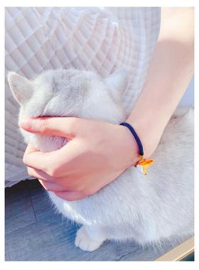 《疯狂动物城》Nick尼克小狐狸趣味手绳编绳原创设计小动物手链