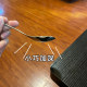 Thickened 304 stainless steel high-end spoon watermelon spoon