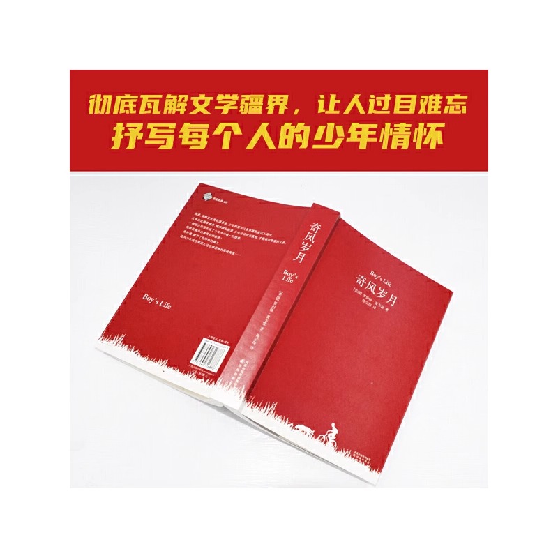 奇风岁月 男孩成长故事小说书  过目难忘的奇书 抒写每一个人的少年情怀 悬疑推理侦探小说 青少年成长励志课外书籍 新华正版 - 图2