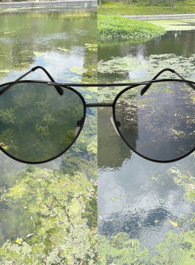 射鱼专用眼镜深水找鱼偏光运动款