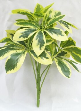 鸭脚木仿真植物厂家直销 植物墙装饰配材 家居阳台装饰仿真绿植