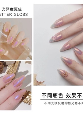 极光粉美甲店专用套装网红色贝壳粉魔镜粉镜面粉网红美甲神仙女粉