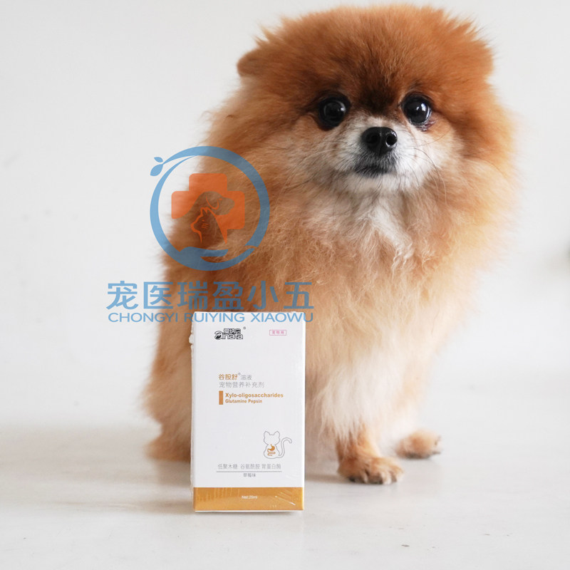 爱纳它克痢肽宠物狗狗急性肠炎犬猫 嘉瑞盈宠物用品猫益生菌