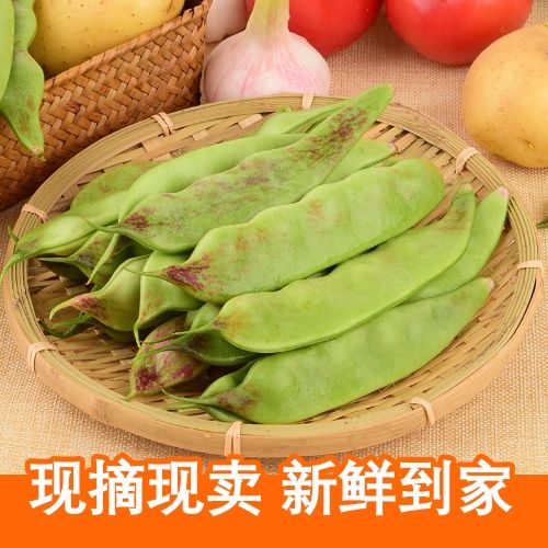 东北油豆角现摘新鲜一点红九月青扁豆开锅烂面豆农家蔬菜当季包邮-图0