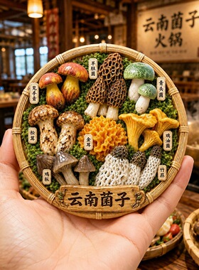 云南菌子拼盘树脂浮雕磁吸冰箱贴文创旅游纪念品小礼品伴手礼批发