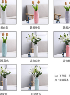 塑料防摔花瓶居家插花瓶水养北欧家装饰品摆件水培花盆盆栽客厅