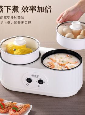 双胆电饭锅多功能家用二合一