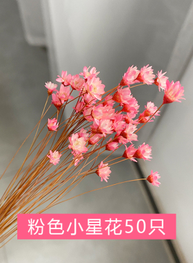 ins网红干花装饰摆件清新永生