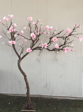 上海仿真橱窗室内造型盆景玉兰花