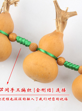 真葫芦串绿绳天然葫芦