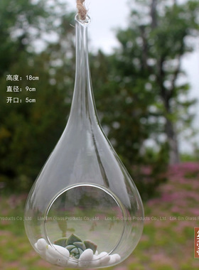悬挂透明多肉植物微景观玻璃花瓶