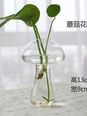 水培玻璃室内园艺办公桌插花瓶