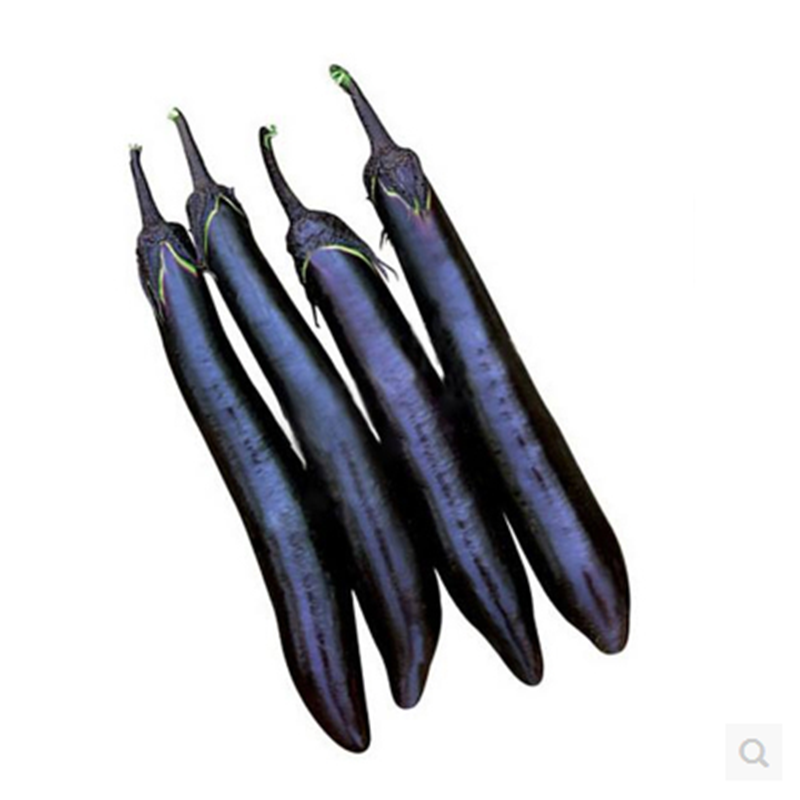 黑豹长茄子种籽种子苗圆黑紫色长茄特大嫁接种苗四季盆栽蔬菜孑秧,淘宝优惠券,粉丝福利购,淘宝优惠卷