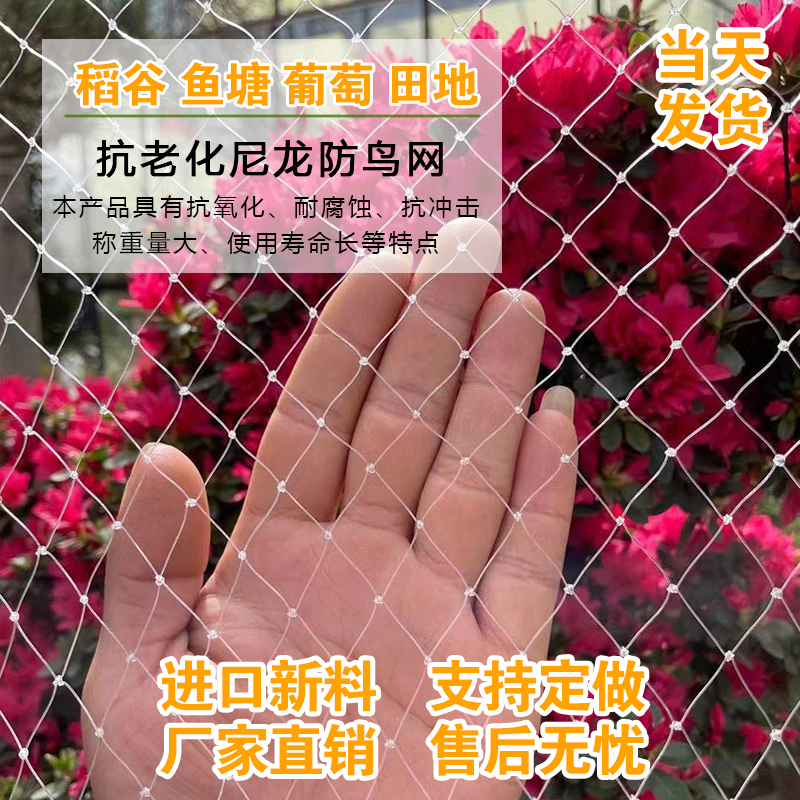 果树防鸟用的网农用防鸟丝网果园天网嘉宝果树防鸟罩子阳台防鸟网 - 图3