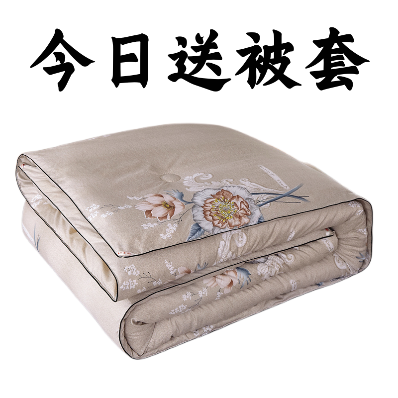 买被子送被套可水洗全棉空调被夏凉被纯棉加厚春秋冬季棉被芯保暖,淘宝优惠券,粉丝福利购,淘宝优惠卷