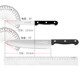 Free trial of Shibazi as a fruit knife