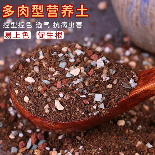 多肉植物营养土 全新升级配方泥炭种植土 颗粒土石子颗粒土赤玉土 - 图0