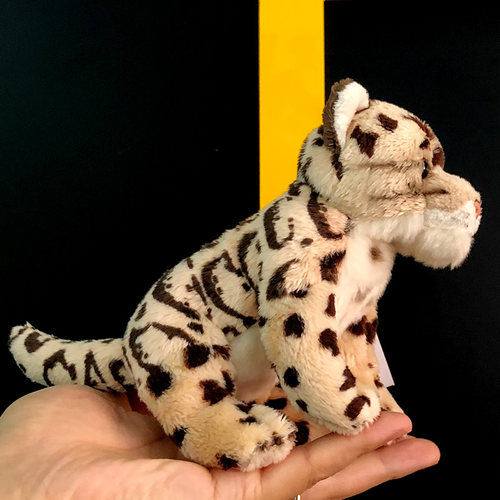 地理系列仿真猫科动物玩偶毛绒玩具猎豹云豹美洲豹小公仔儿童礼物 - 图2