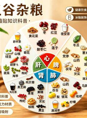 亚克力磁吸养生冰箱贴五脏六腑食疗图谱家庭生活健康科普装饰贴