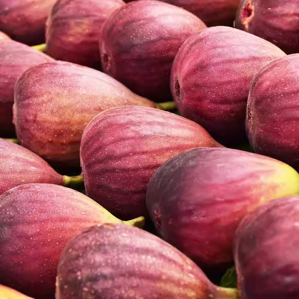 新鲜红皮无花果3斤装软糯香甜空运速发坏果包赔当季水果,淘宝优惠券,粉丝福利购,淘宝优惠卷