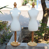 Pet Clothing Show Rack Dogs Kitty Models Clothes Racks Photography photo Props Shop Windows Showcase fabric shelves