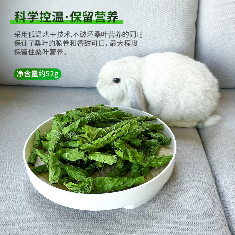 新采摘烘干手摘桑叶脆卷兔子豚鼠龙猫零食补充营养蛋白防上火50g - 图0