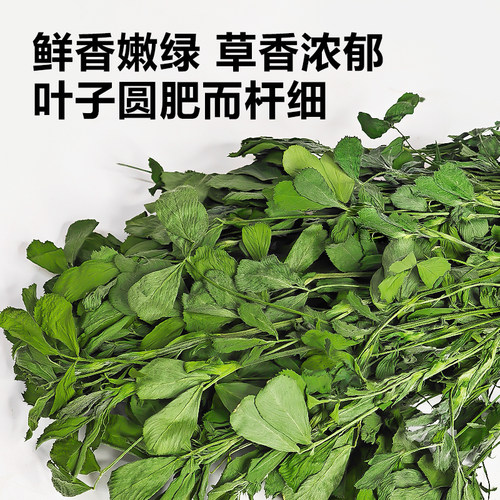 26年新苜蓿草兔子粮草苜蓿草食用草兔粮龙猫粮草干草荷兰猪苜宿草 - 图0