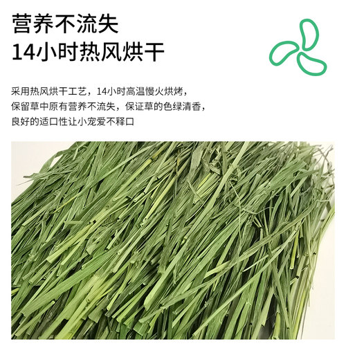 4A级烘干提摩西草杆半叶半杆适合挑嘴兔兔豚鼠龙猫干草北提500g - 图1