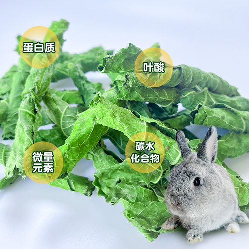 新采摘烘干手摘桑叶脆卷兔子豚鼠龙猫零食补充营养蛋白防上火50g - 图1