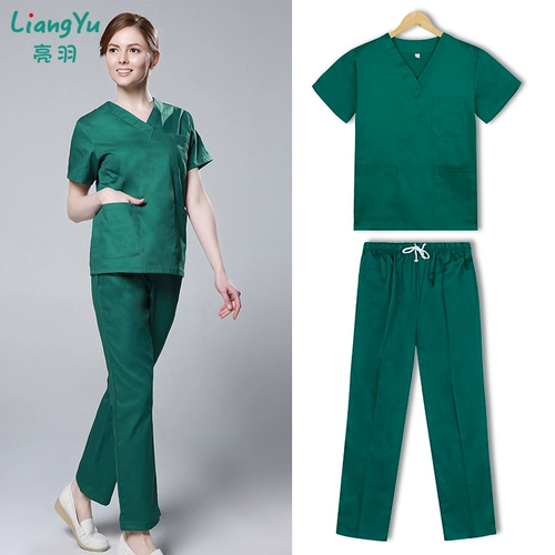 亮羽 Мытье и одежда самка из чистого хлопкового рта Pet Beaut