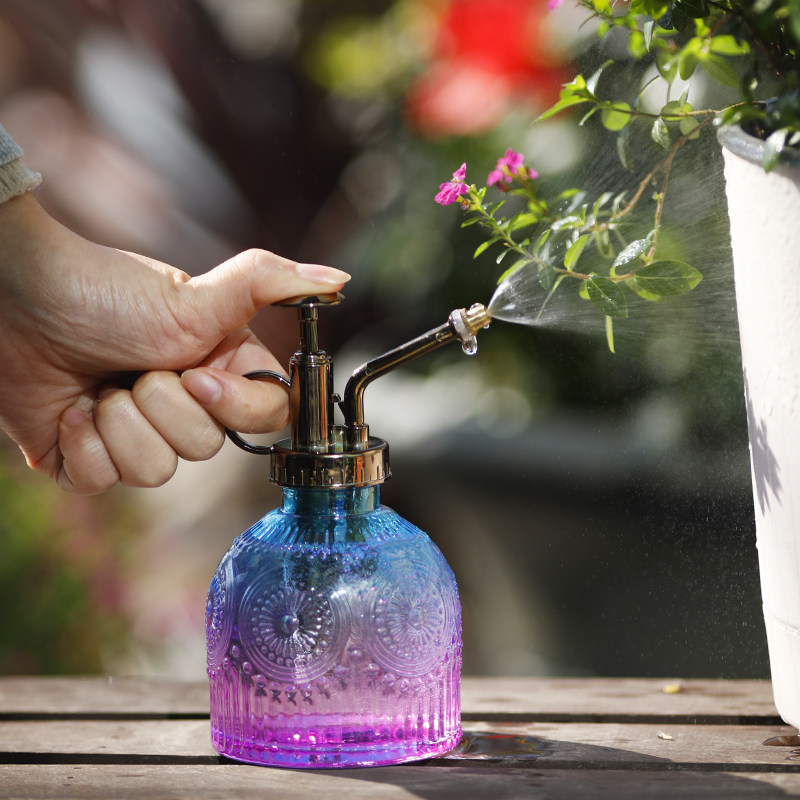 玻璃小喷壶浇花家用复古小型浇水壶多肉绿植园艺喷雾壶小喷瓶,淘宝优惠券,粉丝福利购,淘宝优惠卷