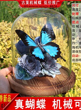 机械蝴蝶成品可动真蝴蝶标本
