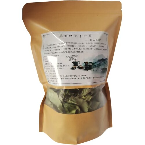 铁山马来西亚直立蔓生黑面将军脆叶马兰建议搭配忧遁草尼基罗草用 - 图3