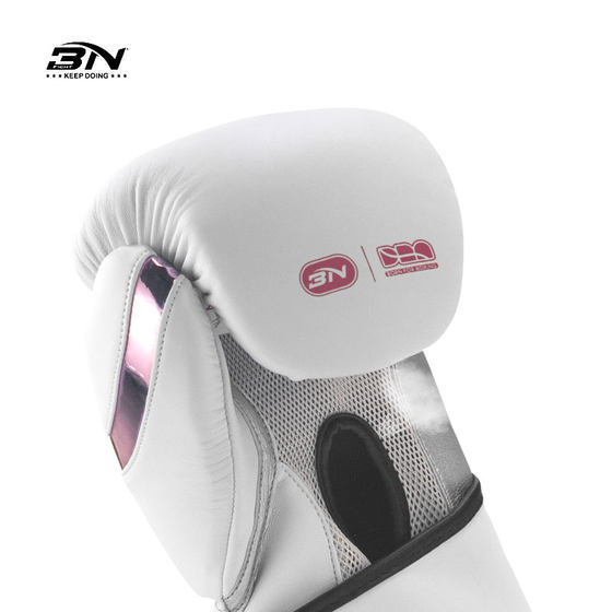 BN boxing gloves
