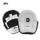 BN boxer target precision target fighting training target boxing target