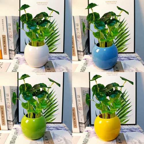 仿真花清新绿植盆栽 金钱叶 鱼缸塑料假草 铜钱草小荷叶 花艺套装 - 图0