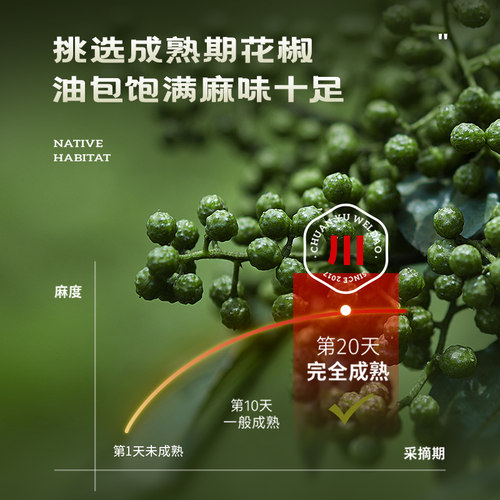 四川花椒青花椒麻椒特麻散装麻椒粒麻椒粉农家自种可磨面磨粉500g - 图0