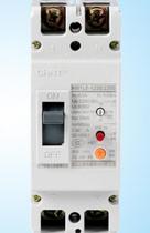 Zhengtai NM1LE-125S 2300A 125A 125A 63A 63A 30 50 100MA earth leakage circuit breaker 2P