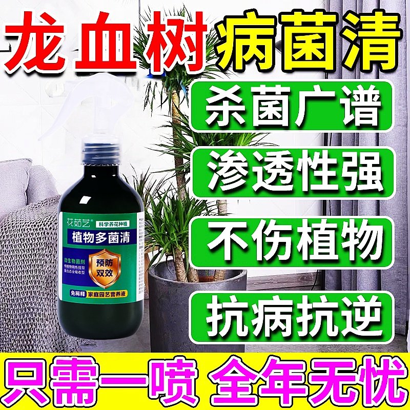 龙血树专用营养液龙须树干尖叶子发黄枯叶烂根茎腐黑斑病杀菌剂肥,淘宝优惠券,粉丝福利购,淘宝优惠卷