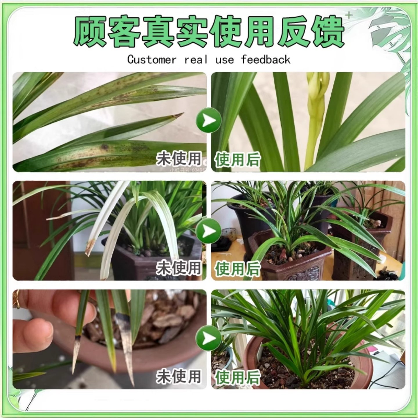 兰花专用杀菌药治黑斑病专用叶子发黄叶焦尖根腐杀菌叶康灵营养液,淘宝优惠券,粉丝福利购,淘宝优惠卷