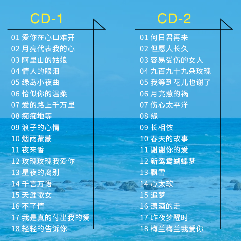 正版轻音乐双电子琴cd碟片纯音乐酒廊金曲休闲音乐精选车载cd光盘 - 图0