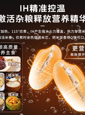 虎牌进口智能IH土锅涂层电饭煲5L