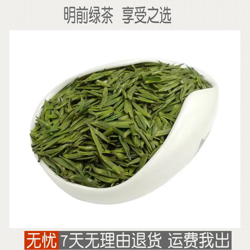 四川峨眉山雀舌绿茶 竹本堂茶叶 2023新茶明前嫩芽春茶 250g