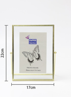 铁艺创意双面夹玻璃摆台北欧几何金属立体玻璃相框植物div画框