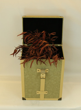 热销软装样板间咖色装饰收纳箱装饰展厅皮革衣帽间工艺品简约现代