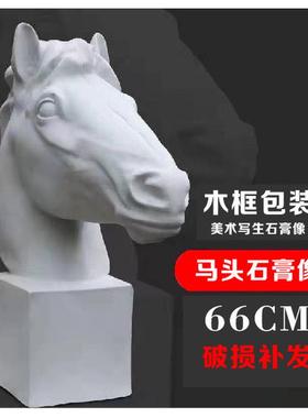 66cm马头石膏像 美术石膏 石膏像头像 羊头挂面  雕塑摆件