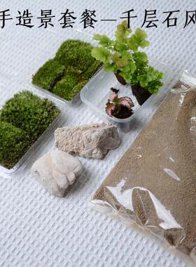 现货速发「空城里」苔藓微景观造景新手套餐材料包白发藓铁线蕨网