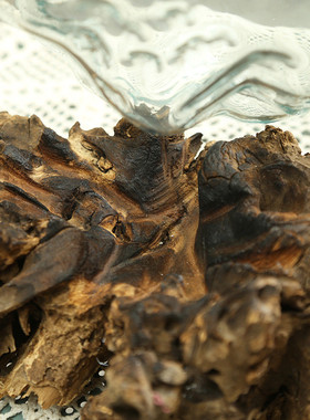 热销风信子花瓶天然瓶绿萝吊篮器皿玻璃插花瓶水培实木底座家居摆