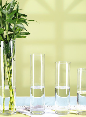 花瓶摆件客厅插花直筒小玻璃瓶水养宽口网红大富贵竹透明大号落地